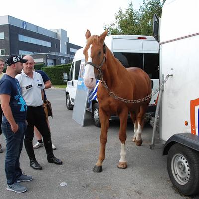 25 oktober 2014 (25 oktober 2014) — foto 82 door Paul Van Der Rasieren, vrijwillig brandweerman Oudenaarde