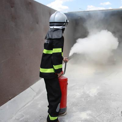 10 juni 2015 (10 juni 2015) — foto 7 door Paul Van Der Rasieren, vrijwillig brandweerman Oudenaarde