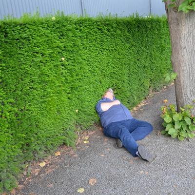 30 juni 2016 (30 juni 2016) — foto 17 door Paul Van Der Rasieren, vrijwillig brandweerman Oudenaarde