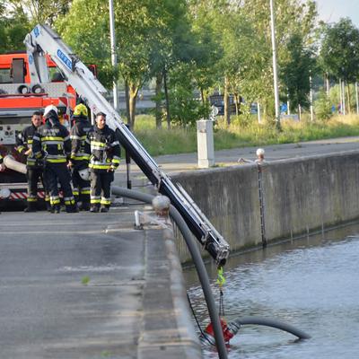 30 juni 2016 (30 juni 2016) — foto 71 door Paul Van Der Rasieren, vrijwillig brandweerman Oudenaarde