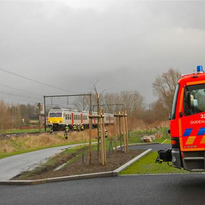 Waaier Lente 2013 (1 januari 2013) — foto 3 door Paul Van Der Rasieren, vrijwillig brandweerman Oudenaarde