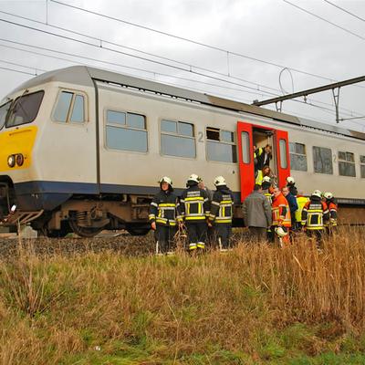 Waaier Lente 2013 (1 januari 2013) — foto 4 door Paul Van Der Rasieren, vrijwillig brandweerman Oudenaarde