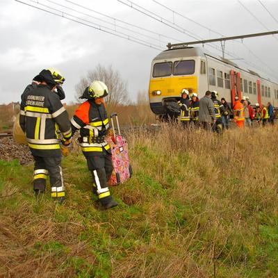 Waaier Lente 2013 (1 januari 2013) — foto 7 door Paul Van Der Rasieren, vrijwillig brandweerman Oudenaarde