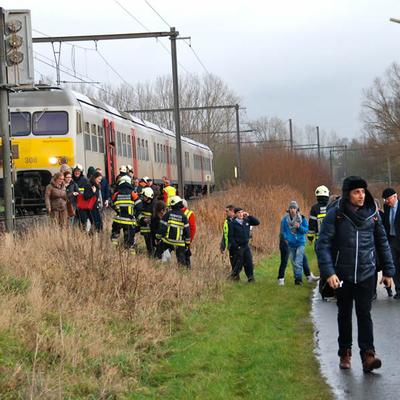 Waaier Lente 2013 (1 januari 2013) — foto 12 door Paul Van Der Rasieren, vrijwillig brandweerman Oudenaarde